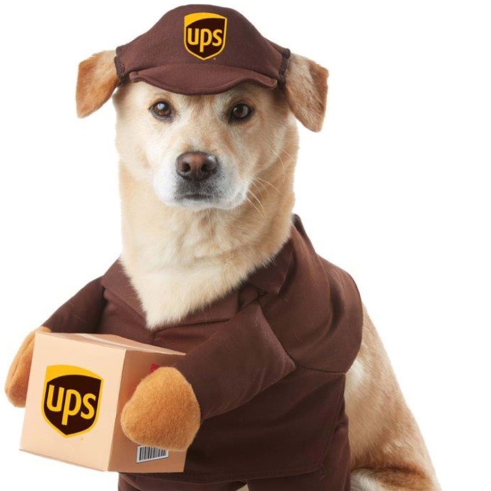 UPS PAL - Doggy Costume Size Large